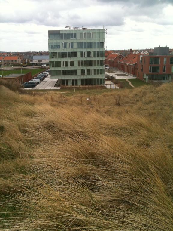 Dune Ostende